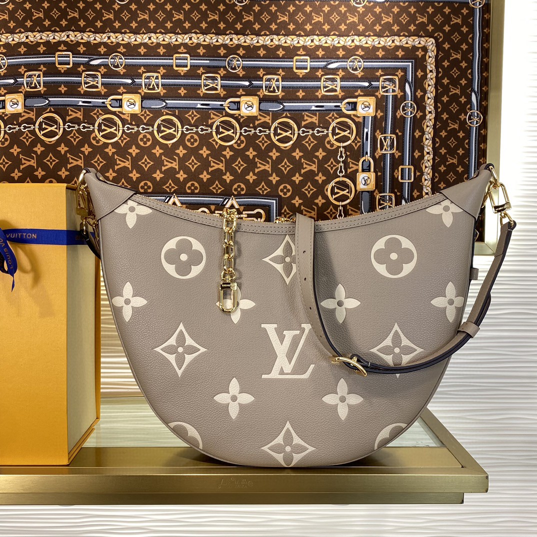 Louis Vuitton Monogram everyday