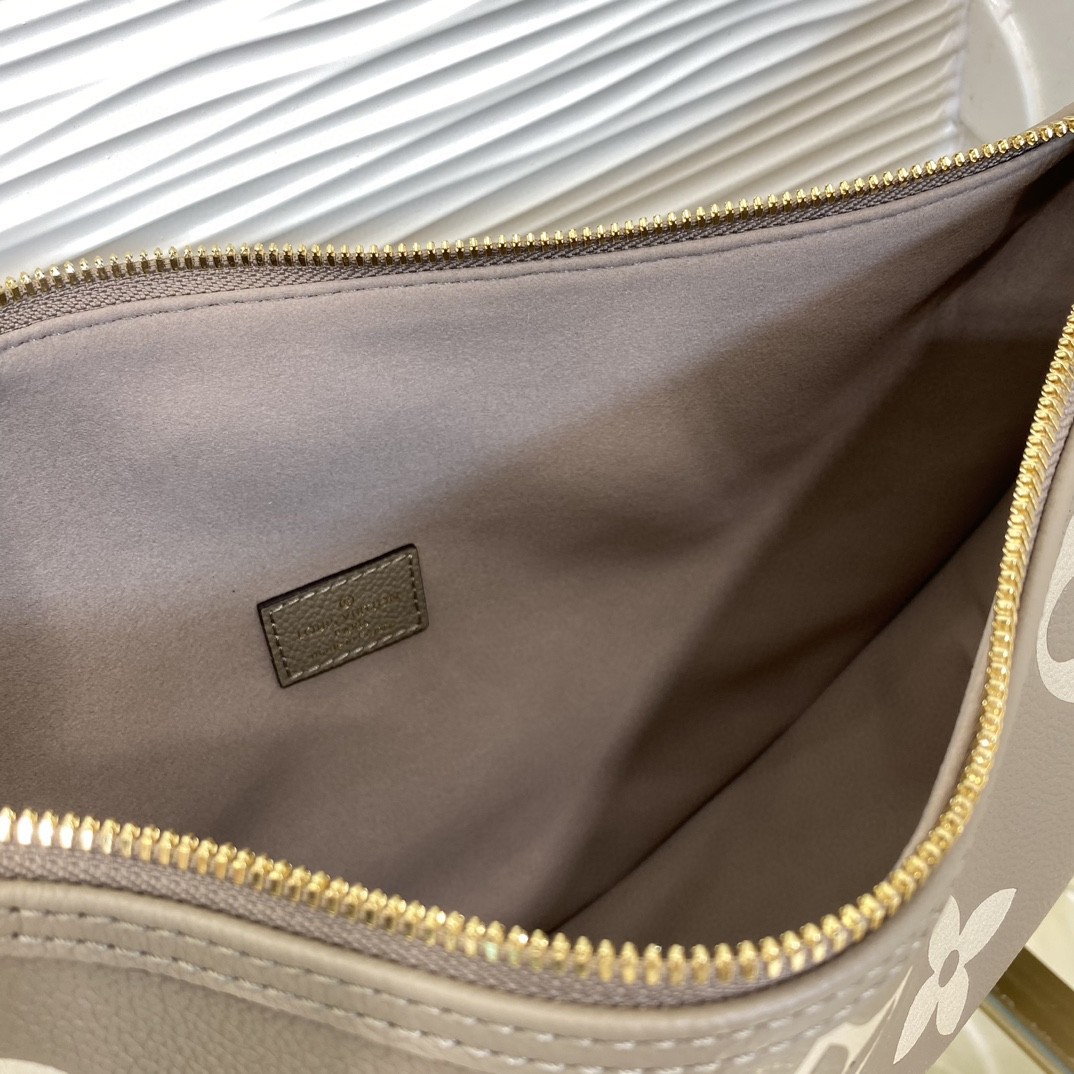 Louis Vuitton Monogram everyday