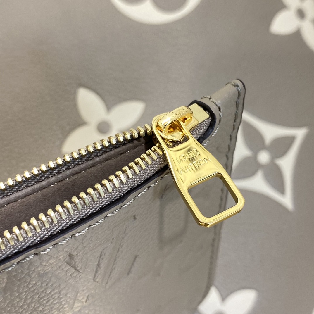 Louis Vuitton Monogram everyday