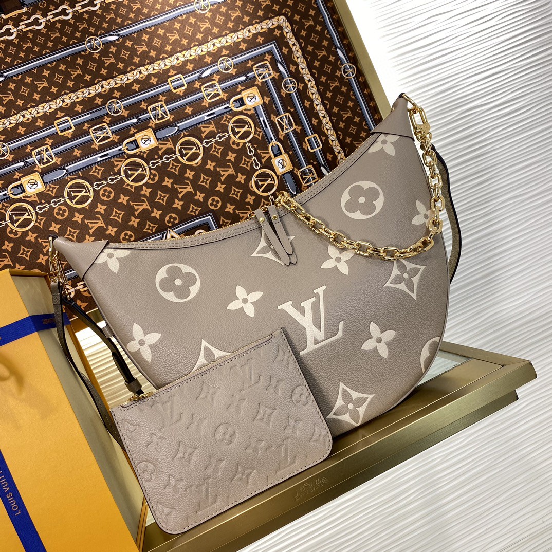 Louis Vuitton Monogram everyday