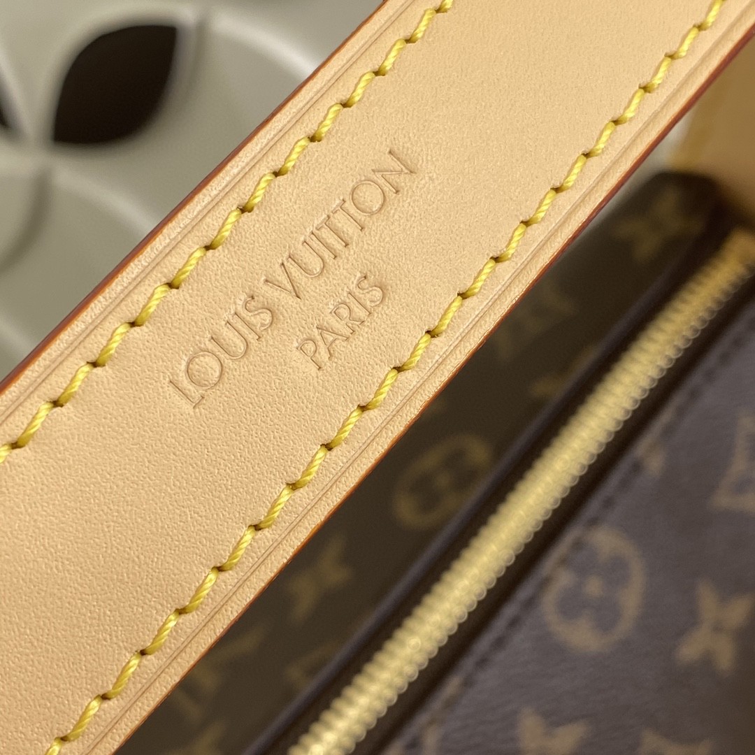 Louis Vuitton M12098 Monogram everyday