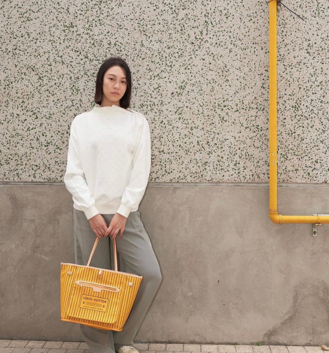 Louis Vuitton Neverfull Monogram Canvas tote everyday