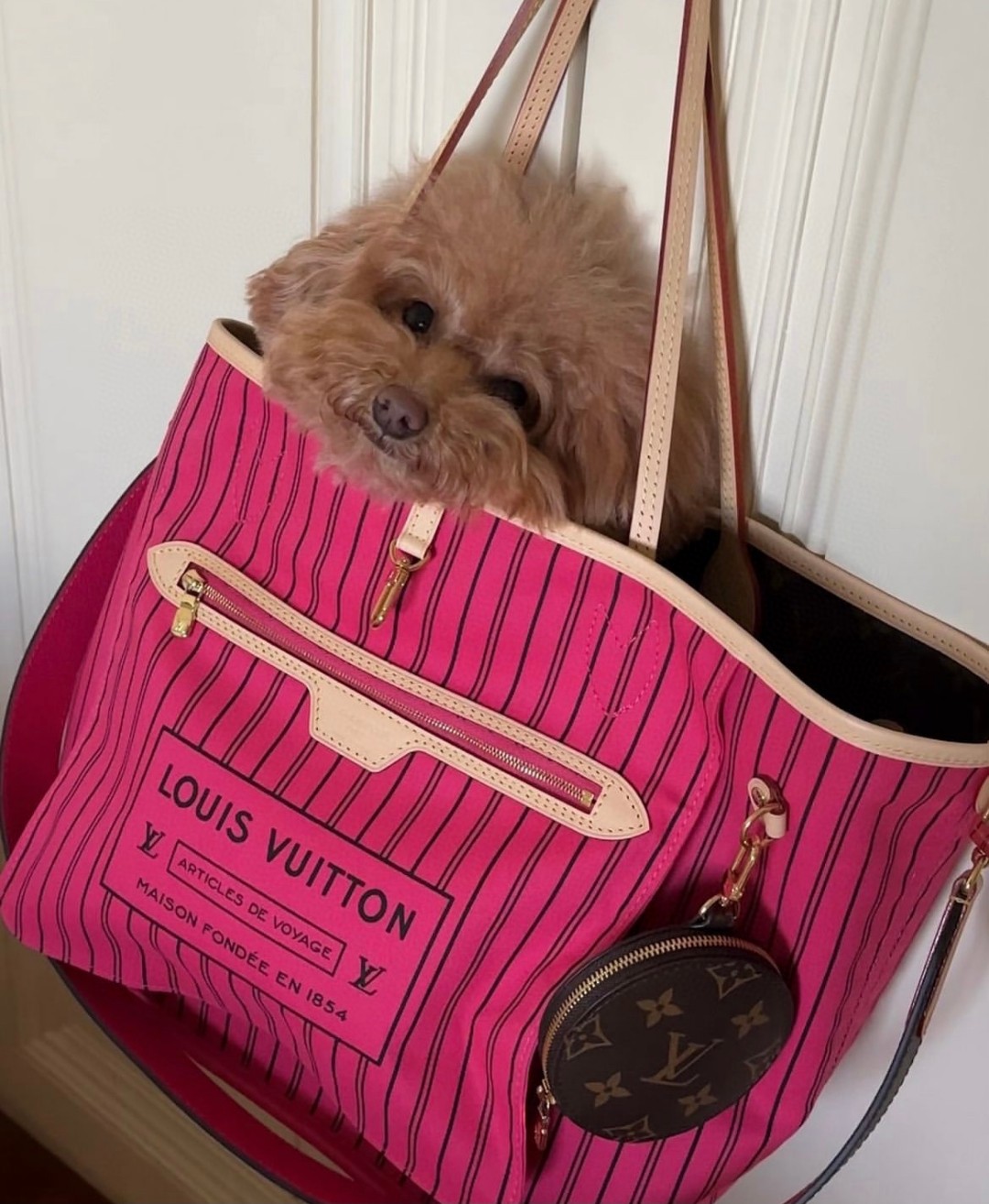 Louis Vuitton M12257 everyday