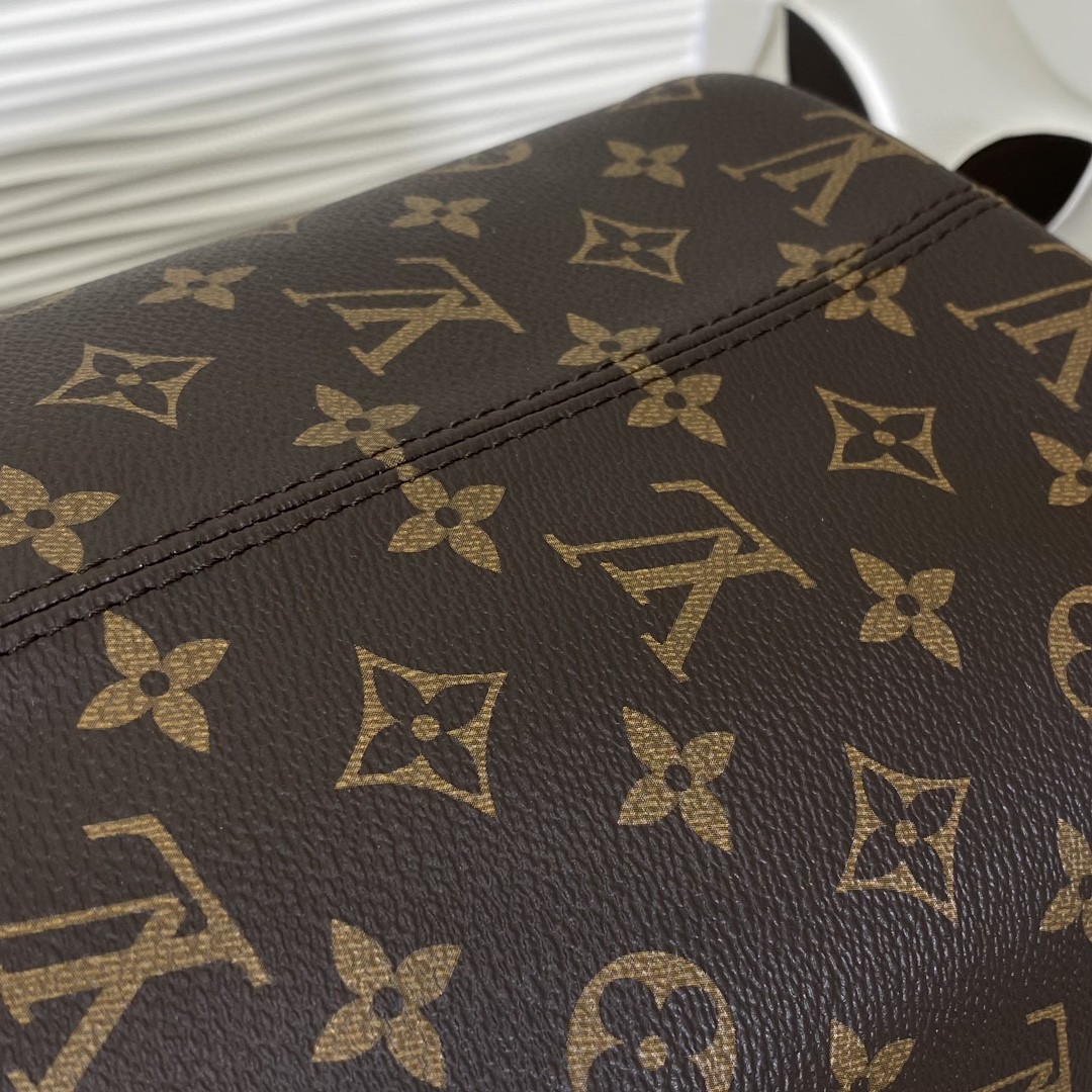 Louis Vuitton Neverfull Monogram everyday