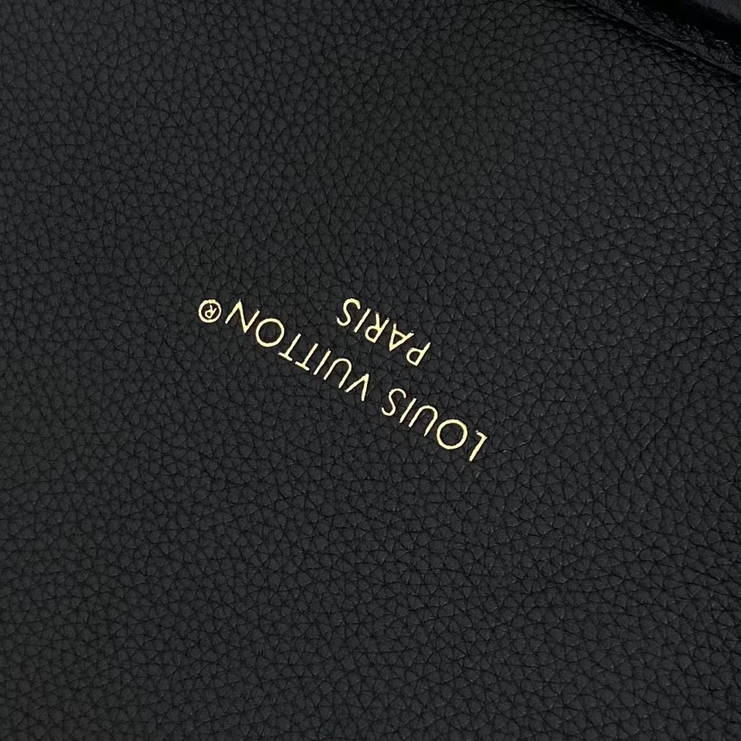 Louis Vuitton Neverfull Monogram everyday