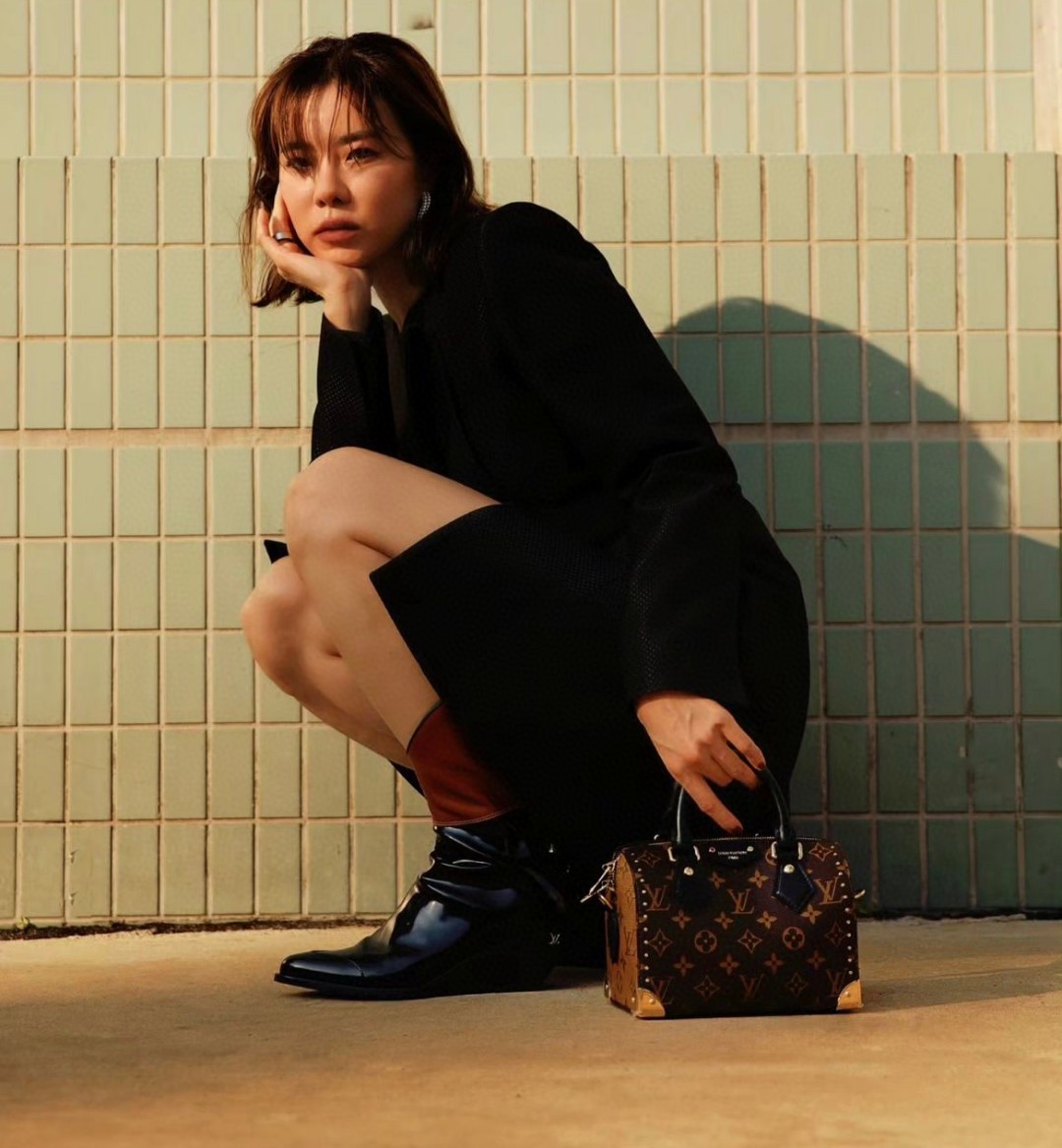 Louis Vuitton Speedy 20 Monogram 20 crossbody everyday