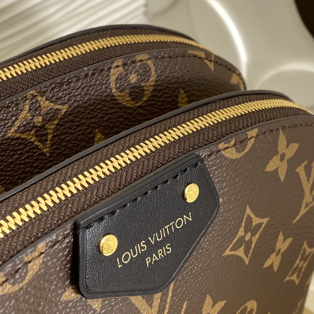 Louis Vuitton M12996 Monogram shoulder