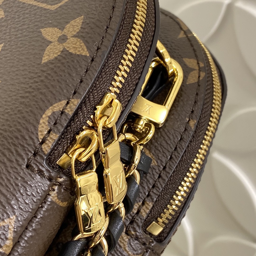 Louis Vuitton M12996 Monogram shoulder