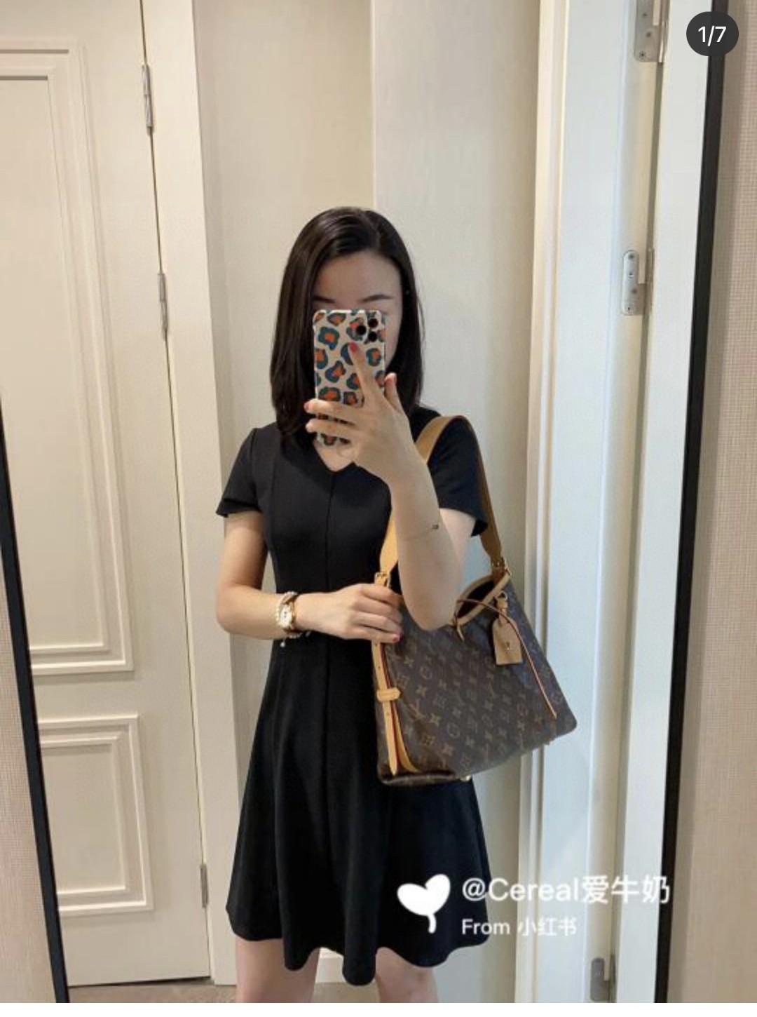 Louis Vuitton everyday