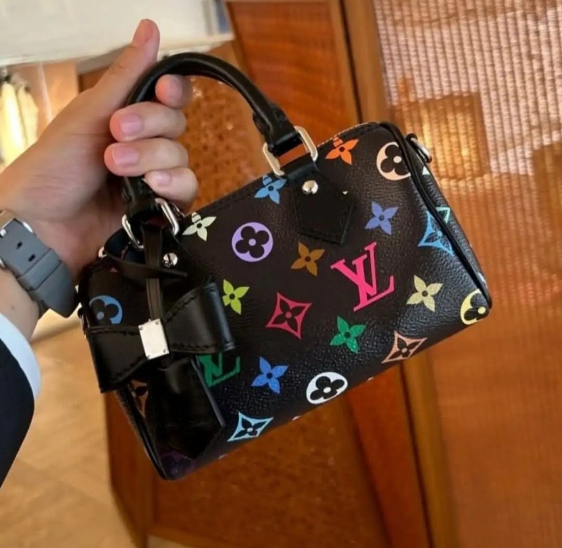 Louis Vuitton everyday