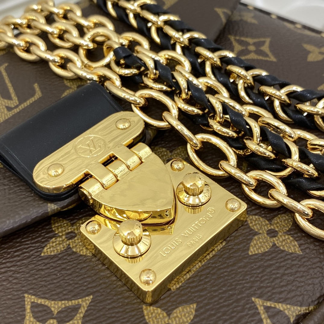 Louis Vuitton Monogram everyday