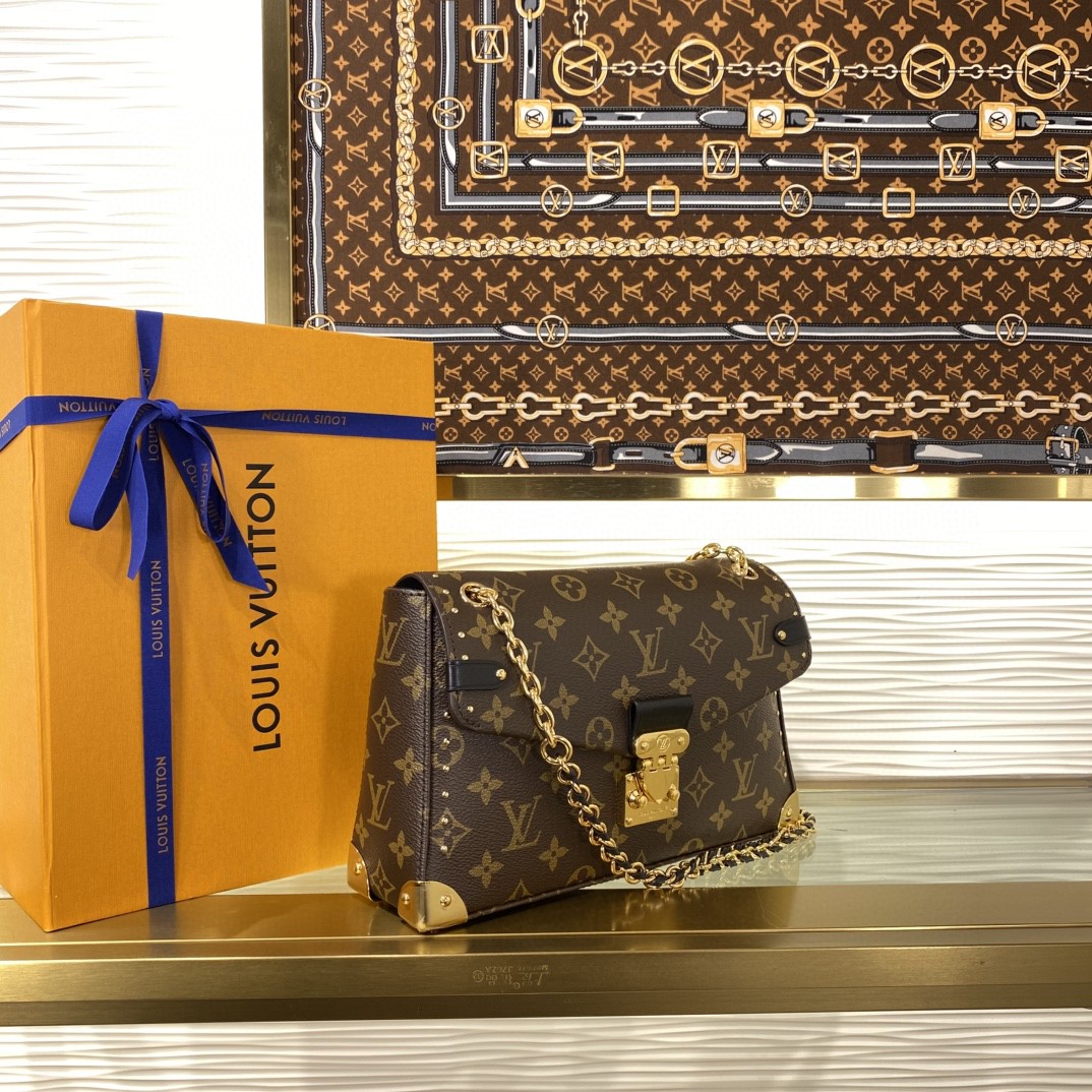 Louis Vuitton Monogram everyday