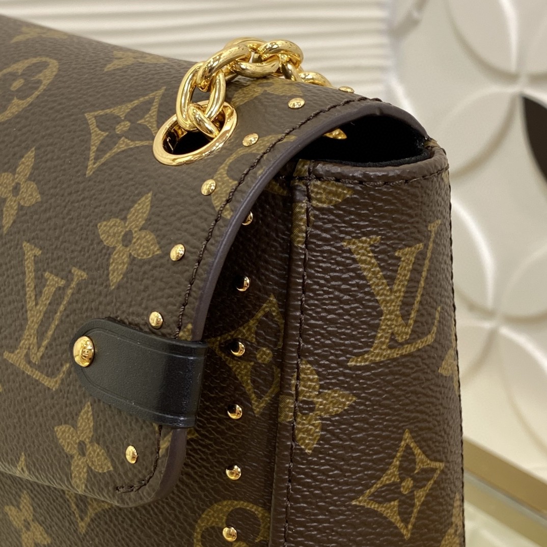 Louis Vuitton Monogram everyday