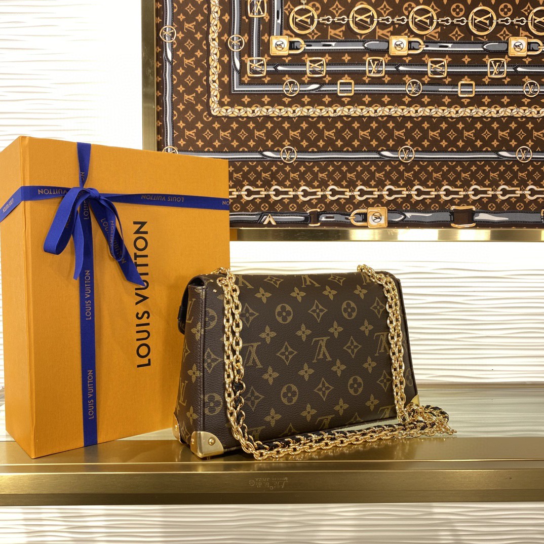 Louis Vuitton Monogram everyday