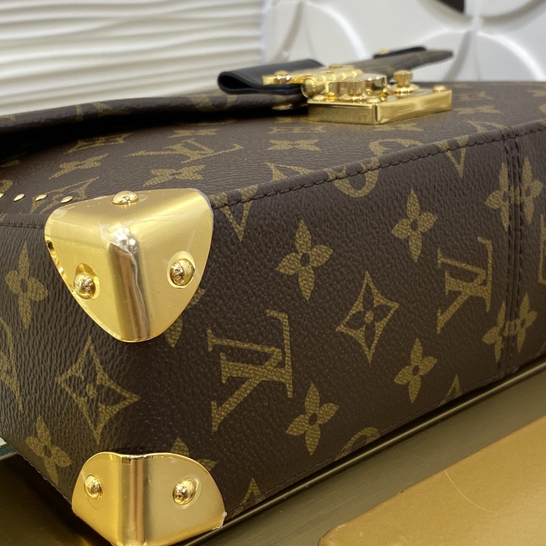 Louis Vuitton Monogram everyday