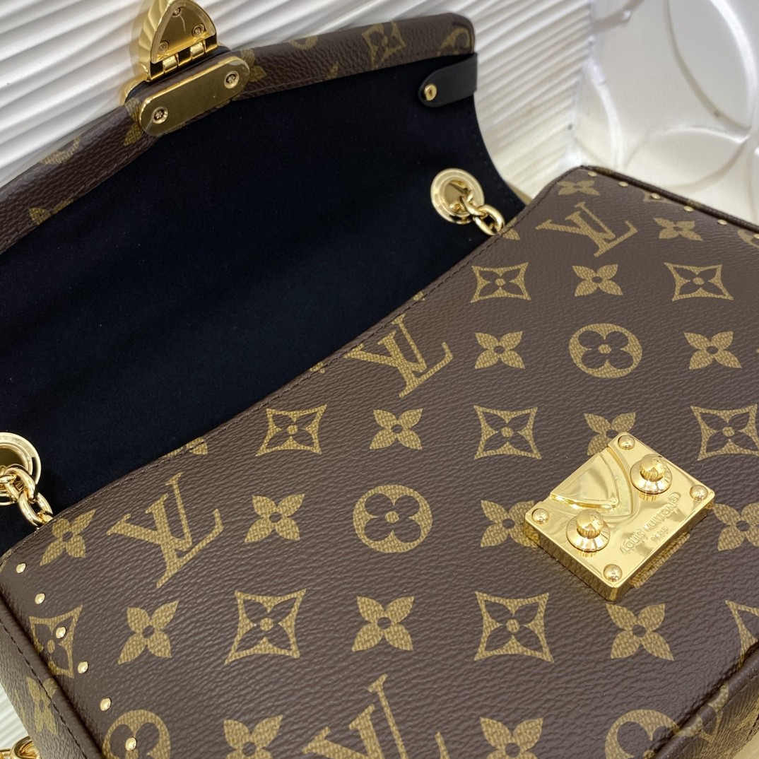 Louis Vuitton Monogram everyday