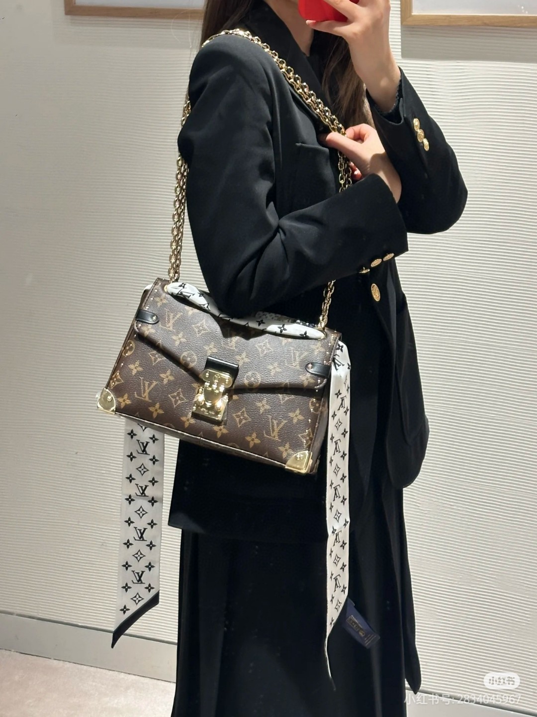 Louis Vuitton everyday