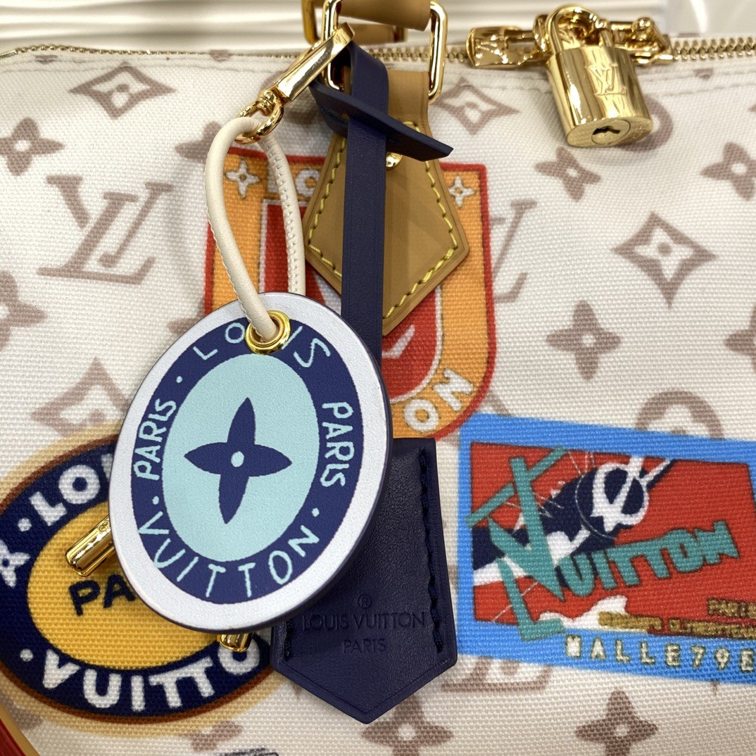 Louis Vuitton Speedy Monogram everyday