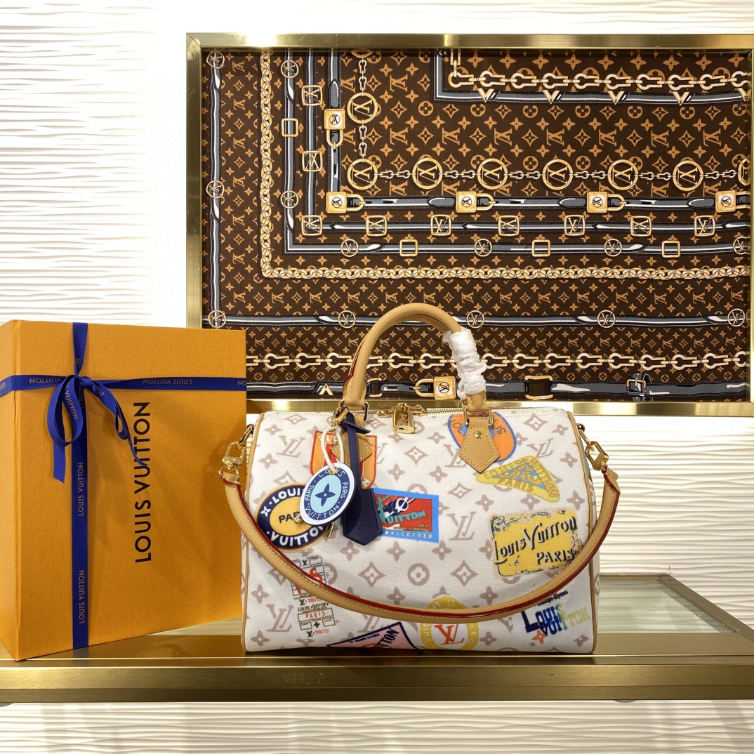 Louis Vuitton Speedy Monogram everyday
