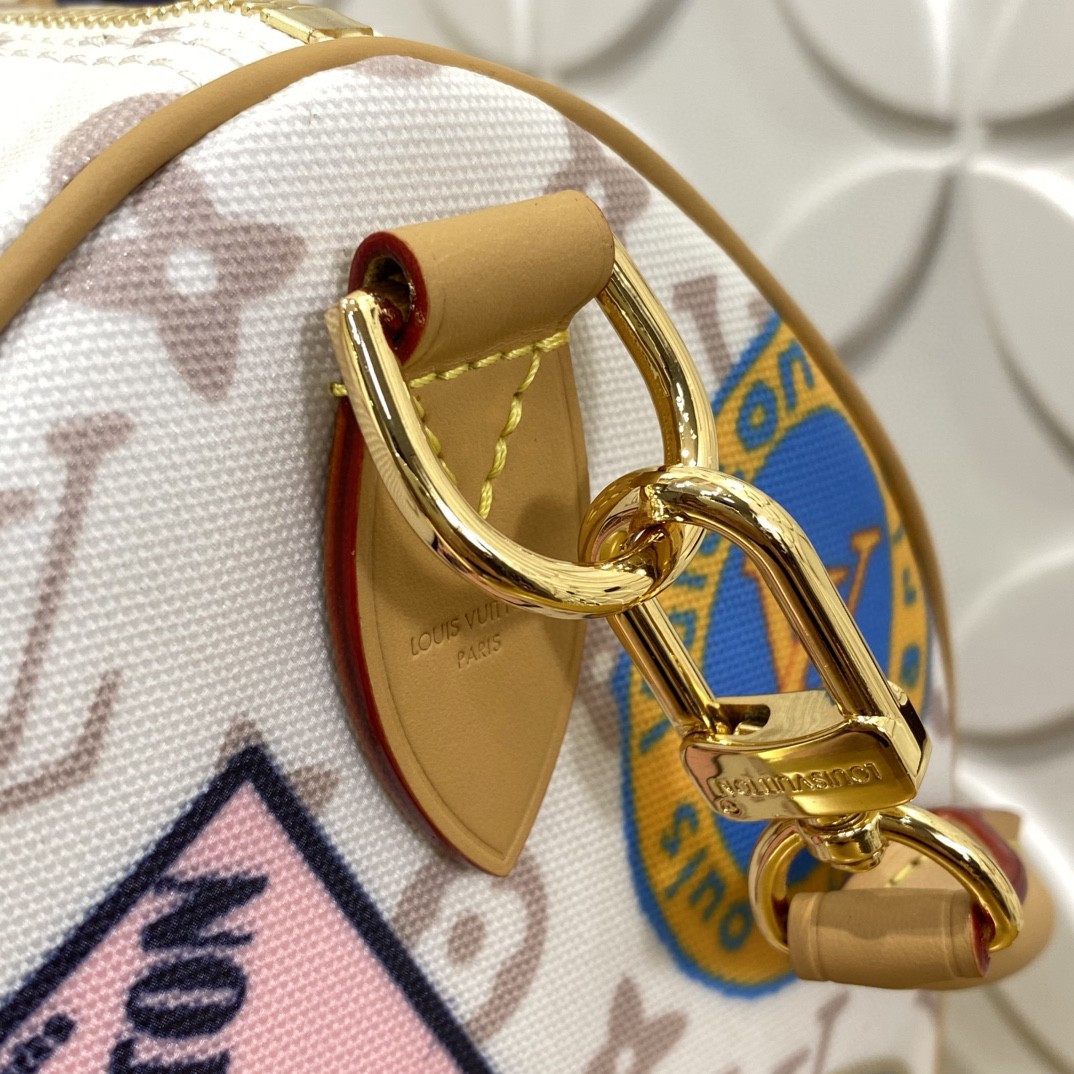 Louis Vuitton Speedy Monogram everyday