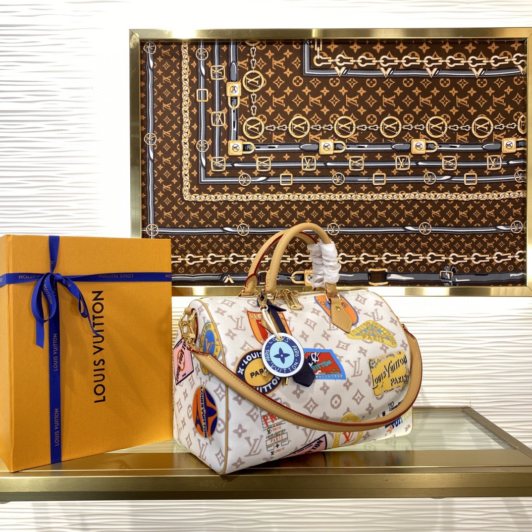 Louis Vuitton Speedy Monogram everyday