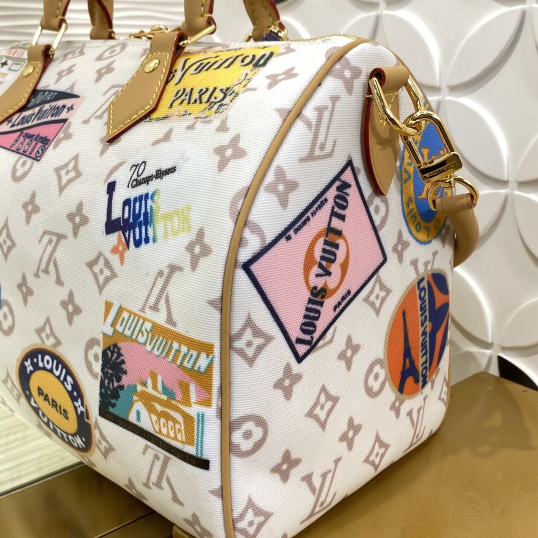 Louis Vuitton Speedy Monogram everyday