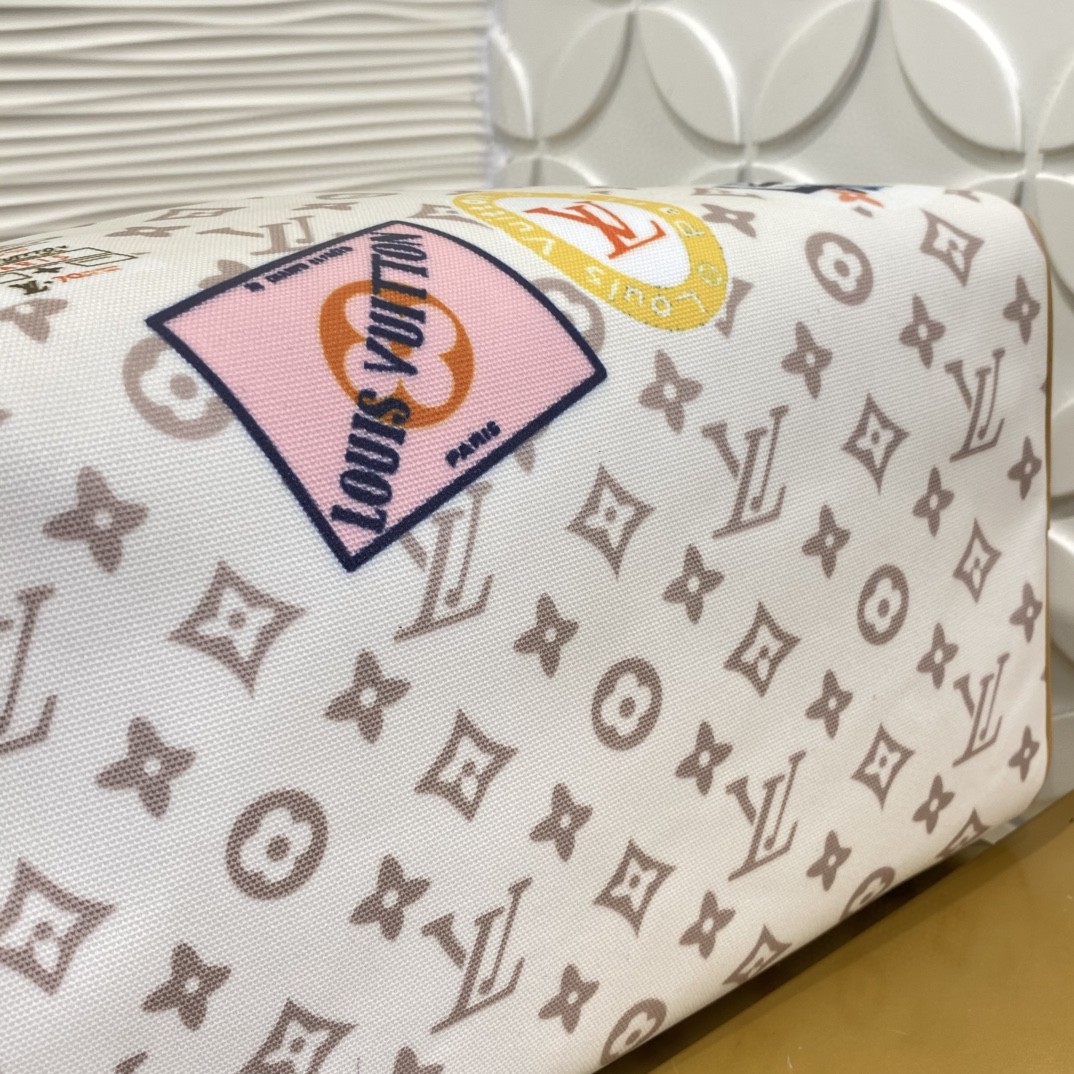 Louis Vuitton Speedy Monogram everyday