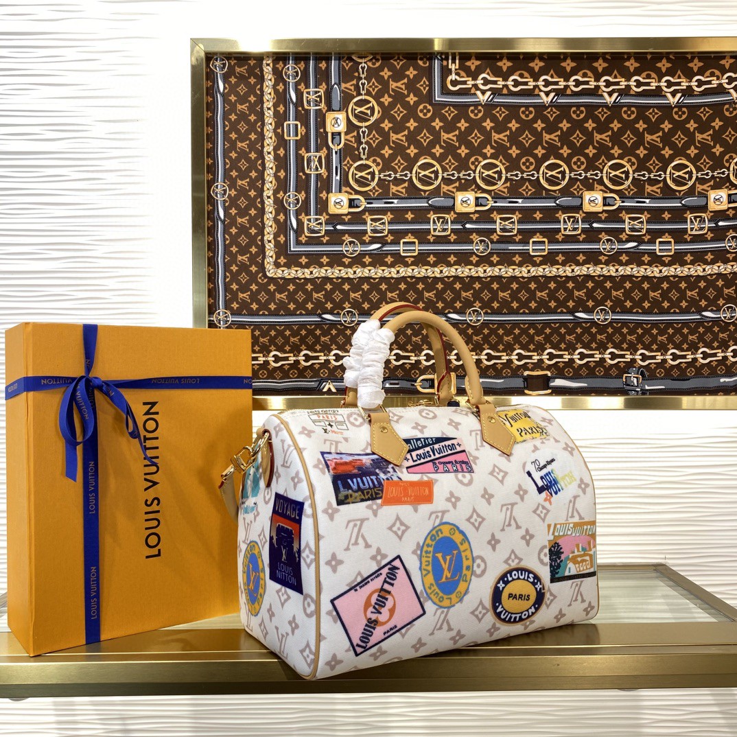 Louis Vuitton Speedy Monogram everyday