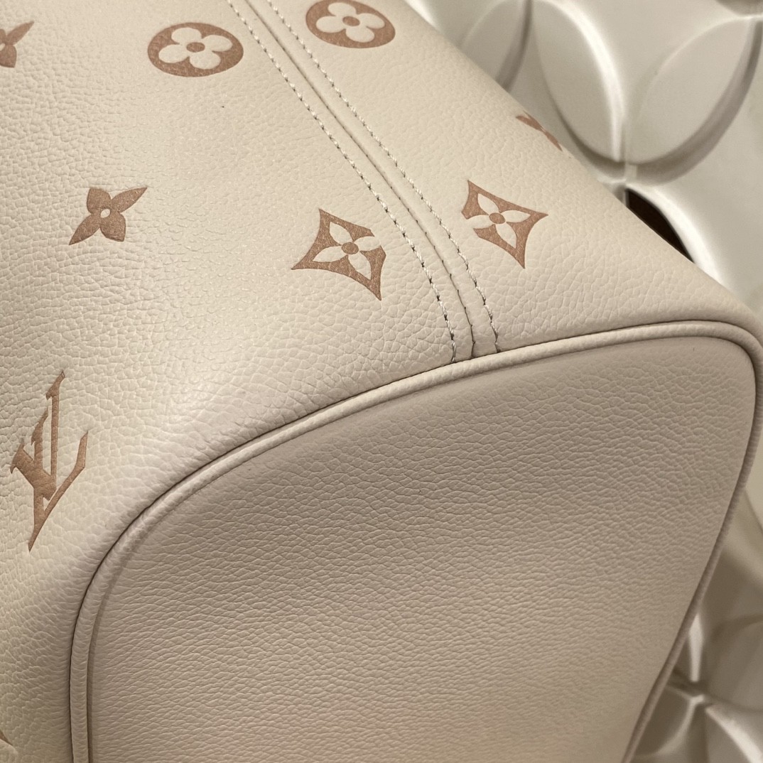 Louis Vuitton M45685 Monogram MM everyday