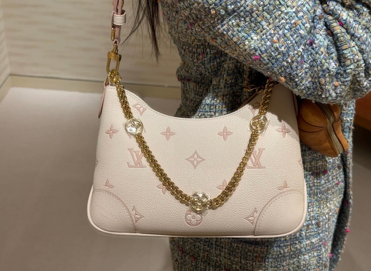 Louis Vuitton everyday