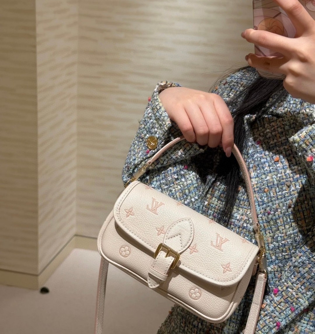 Louis Vuitton everyday