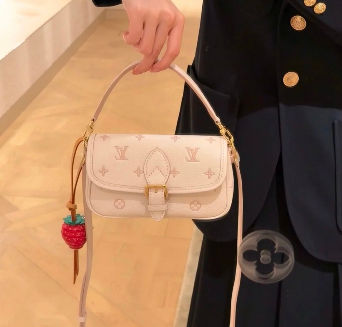 Louis Vuitton everyday