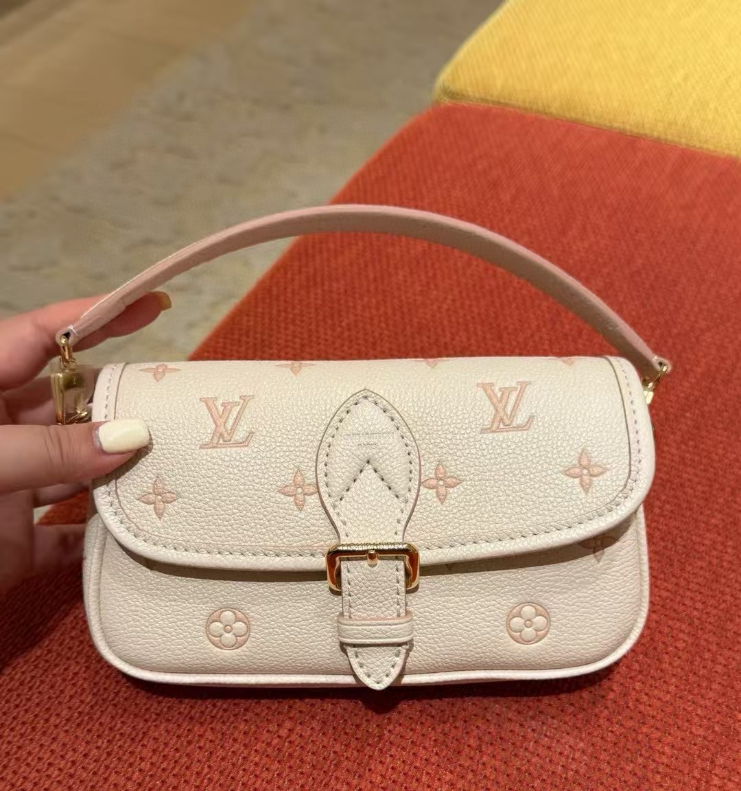 Louis Vuitton everyday