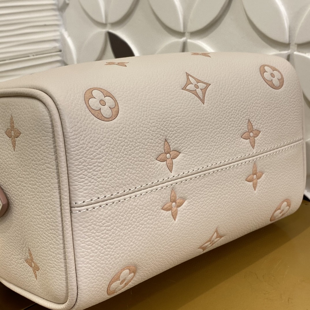 Louis Vuitton M14291 Monogram everyday
