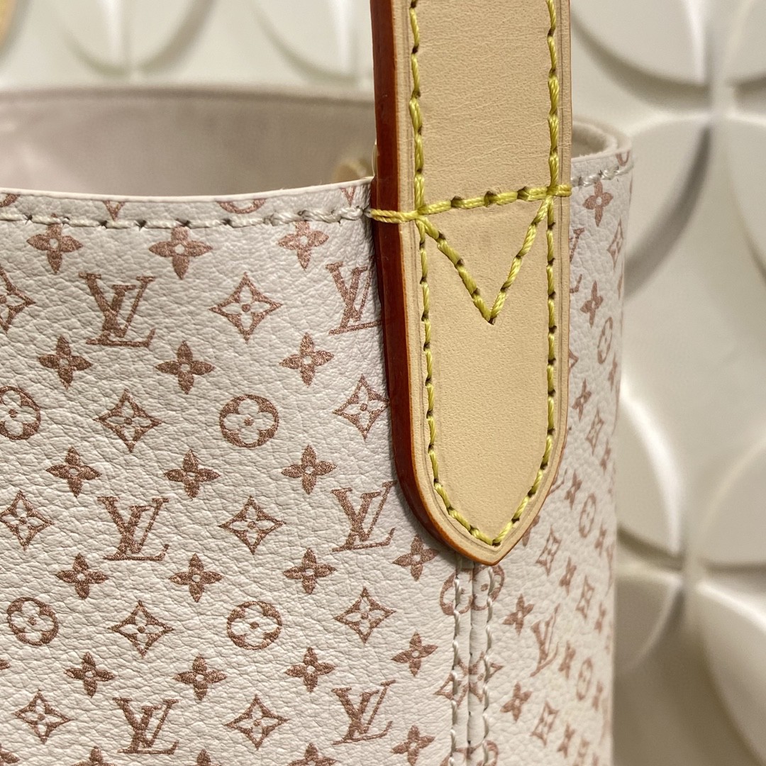 Louis Vuitton Monogram BB everyday