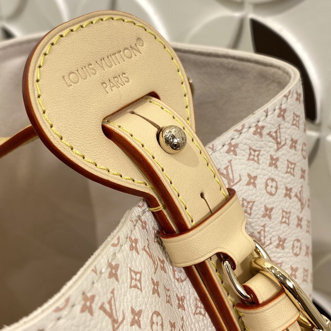 Louis Vuitton Monogram BB everyday