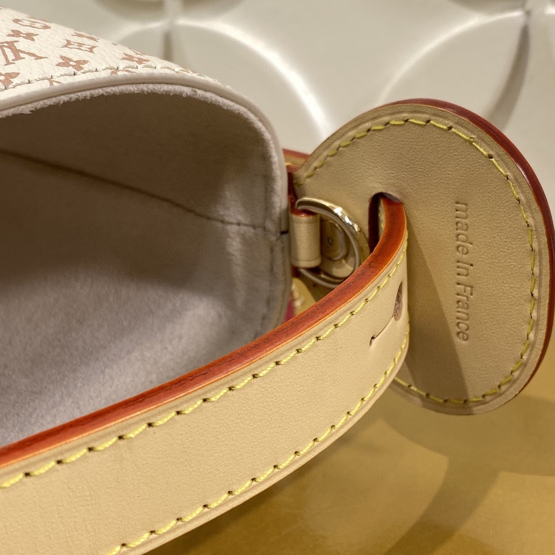 Louis Vuitton Monogram BB everyday