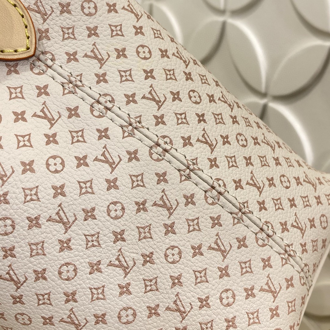 Louis Vuitton Monogram BB everyday