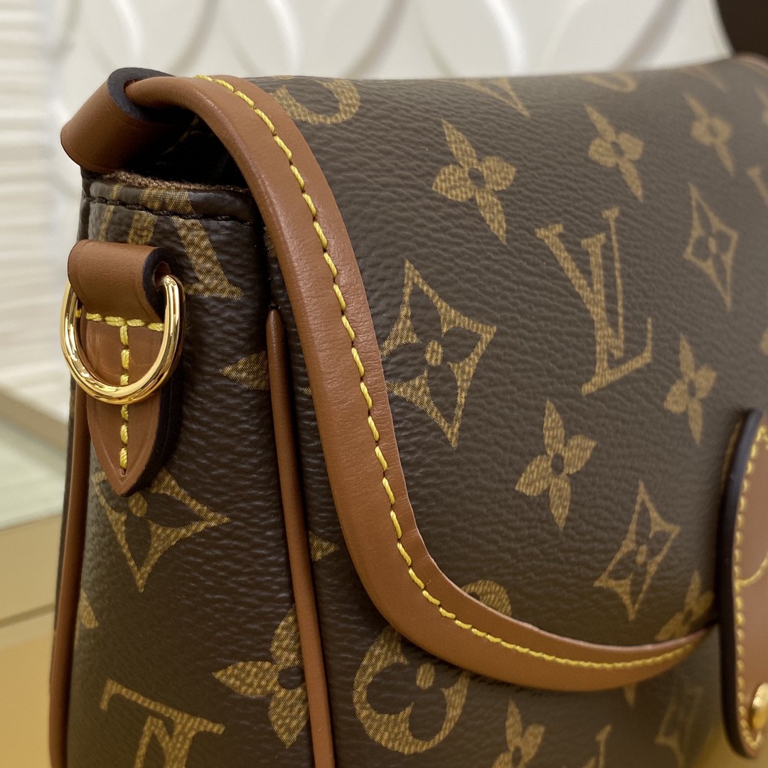 Louis Vuitton Duo Monogram BB crossbody everyday