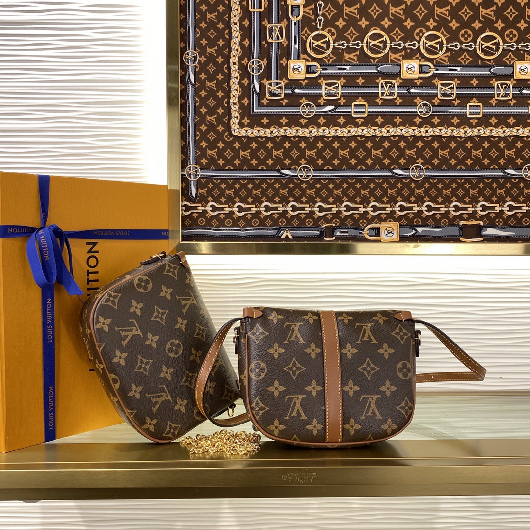 Louis Vuitton Duo Monogram BB crossbody everyday