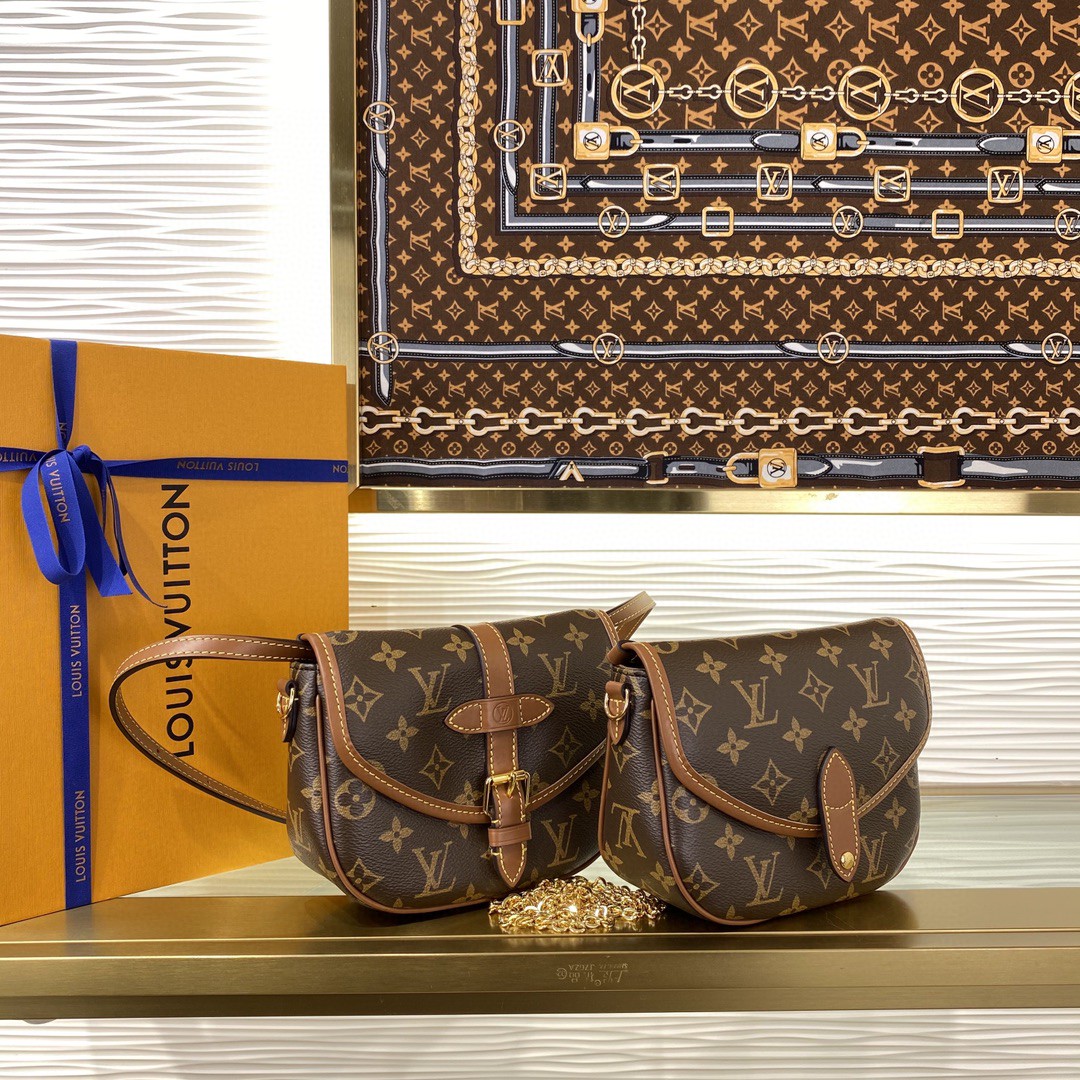 Louis Vuitton Duo Monogram BB crossbody everyday