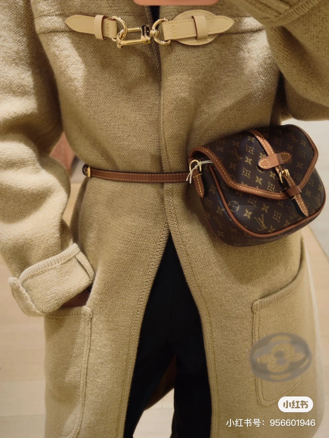 Louis Vuitton Monogram Canvas crossbody everyday