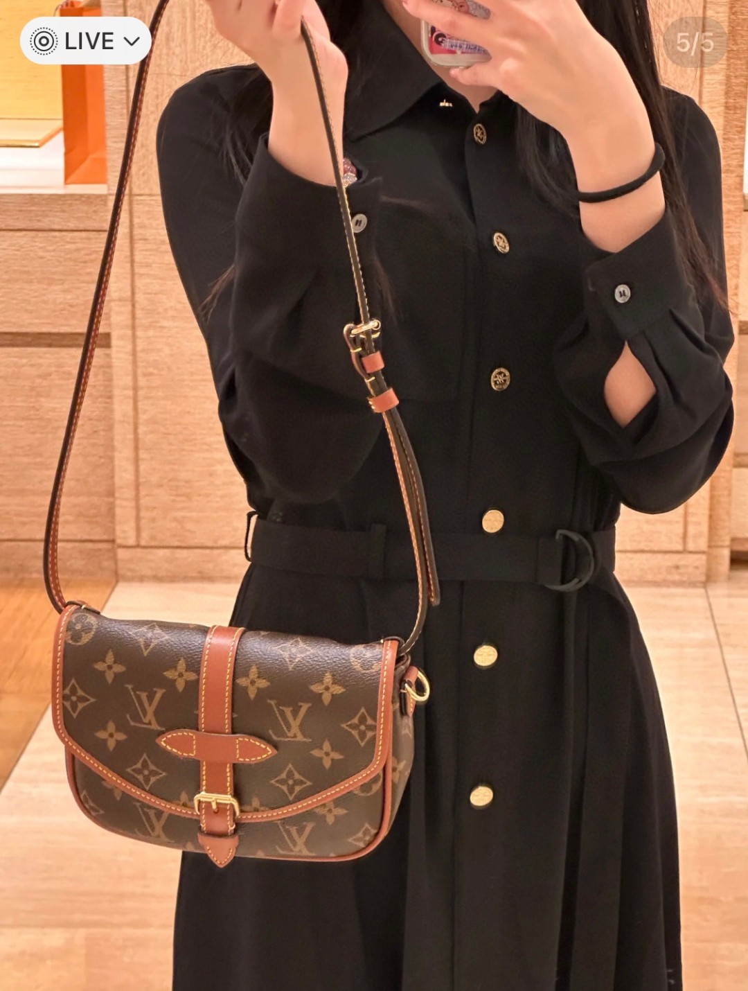 Louis Vuitton Monogram Canvas crossbody everyday