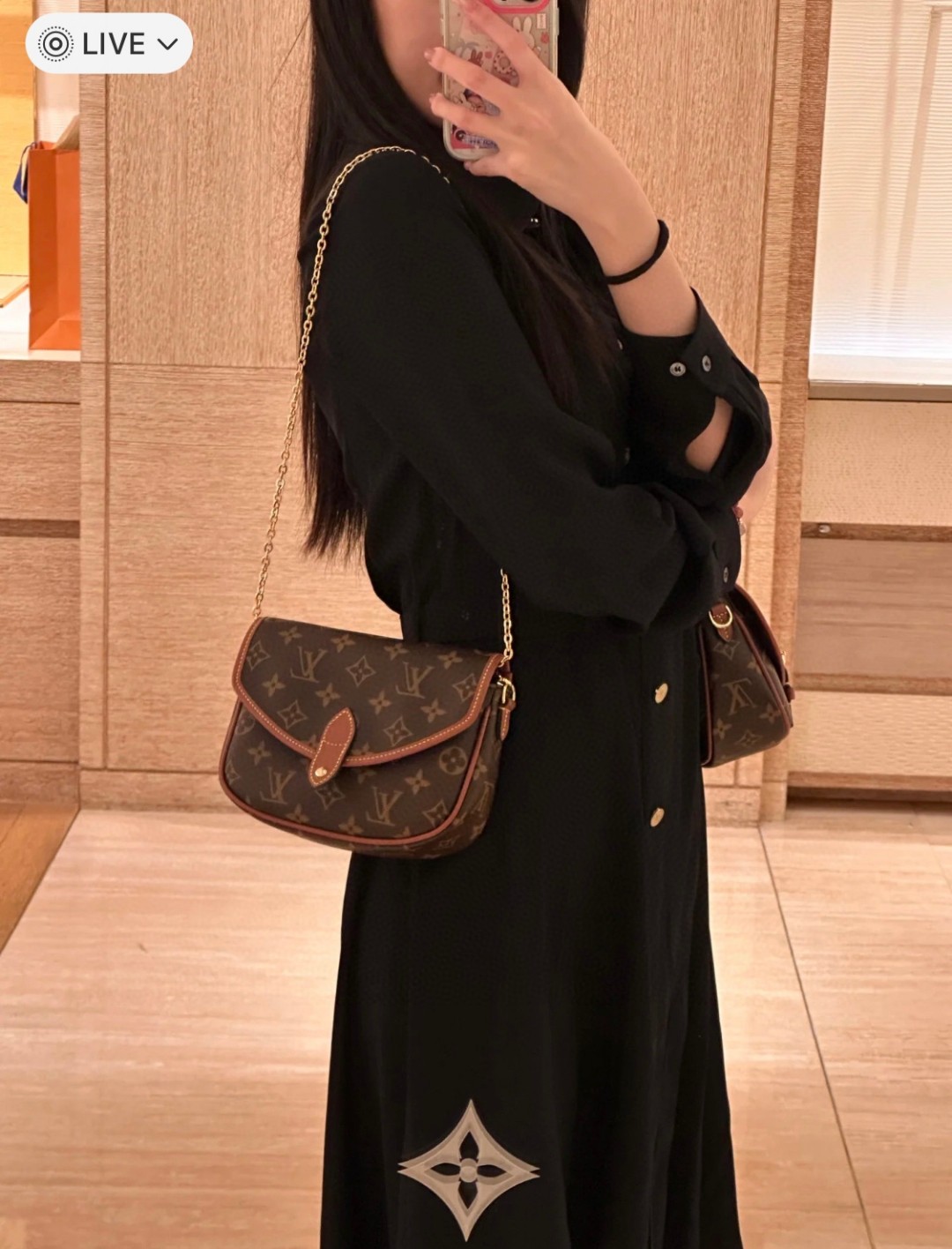 Louis Vuitton Monogram Canvas crossbody everyday
