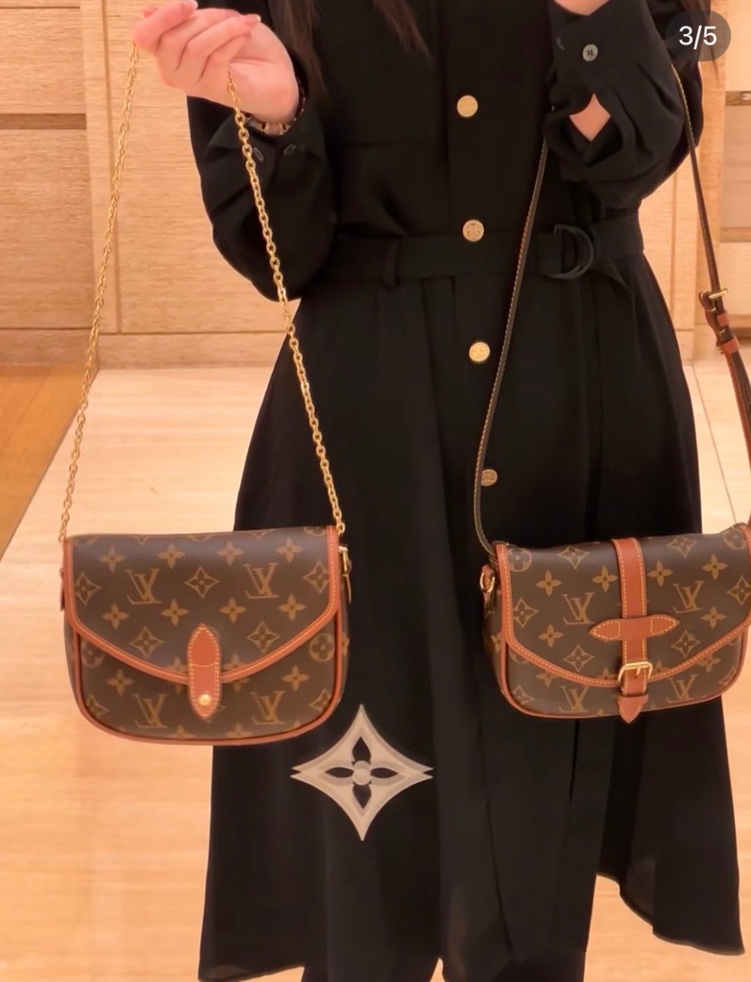 Louis Vuitton Monogram Canvas crossbody everyday