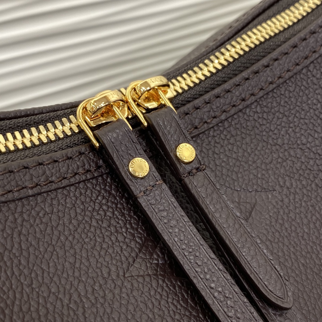 Louis Vuitton Monogram everyday