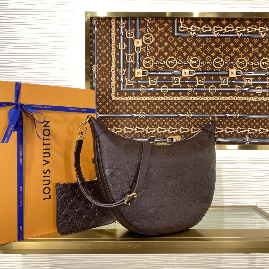 Louis Vuitton Monogram everyday