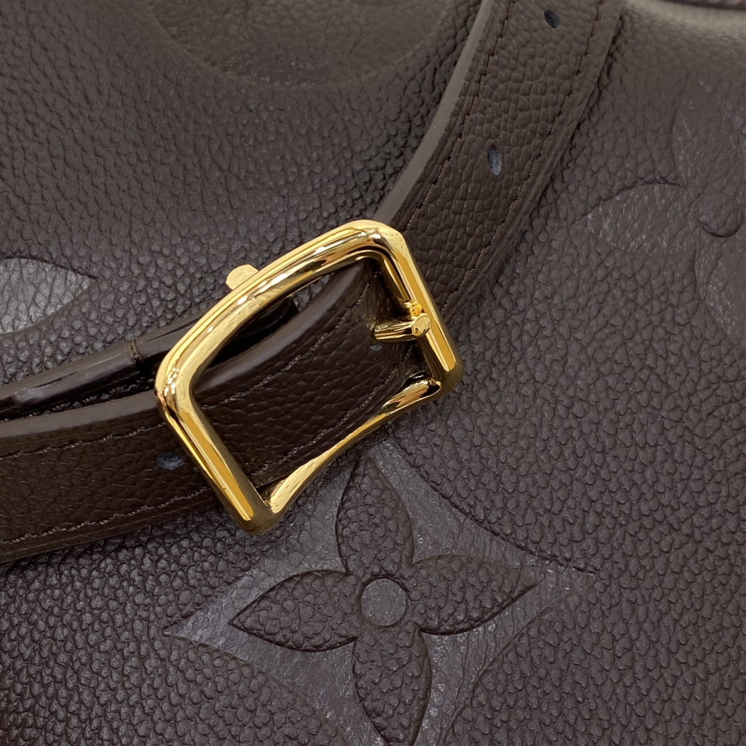 Louis Vuitton Monogram everyday