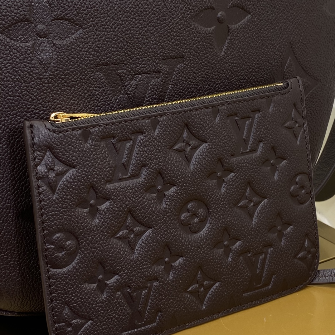 Louis Vuitton Monogram everyday