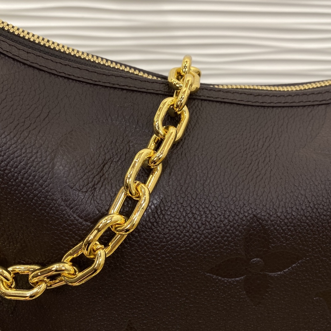 Louis Vuitton Monogram everyday